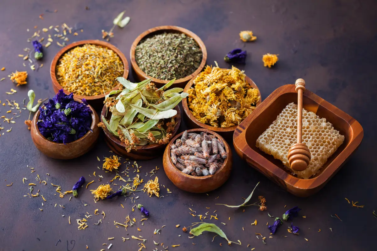 Herbal